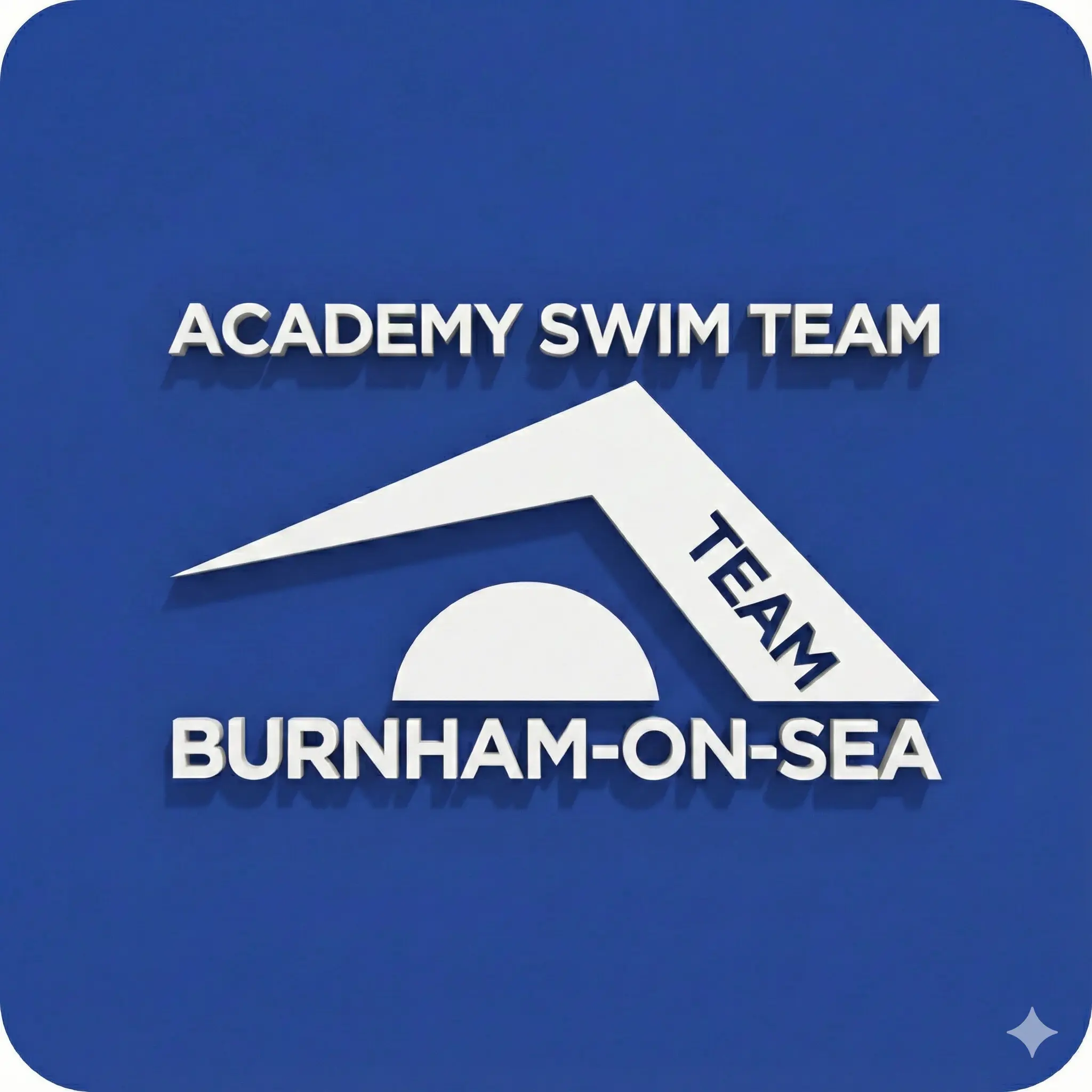Academy Swim Team